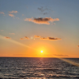 Uusi vuosi, uudet tavoitteet: miten löydän motivaation ja vahvuudet uralleni 